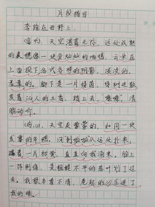 六下语文第三单元"初试身手"