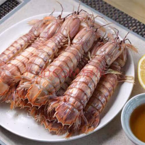 海鲜大皮皮虾鲜活虾爬子带膏黄虾姑爬爬虾全母琵琶虾水产熟冻 精选小