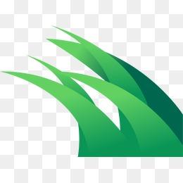小绿草图片大全