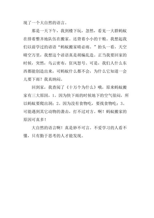 蚂蚁搬家的作文