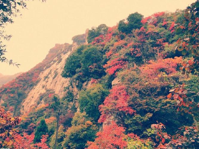 人教版必修一第一课《沁园春长沙》(课件32张ppt)