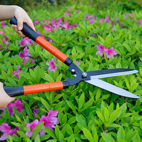 植物园林剪刀绿化花园绿箭果树树枝裁剪花枝修剪修枝剪家用大号