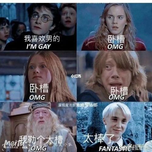 哈利波特搞笑表情包_哈利波特_搞笑_表情包_德哈_素材