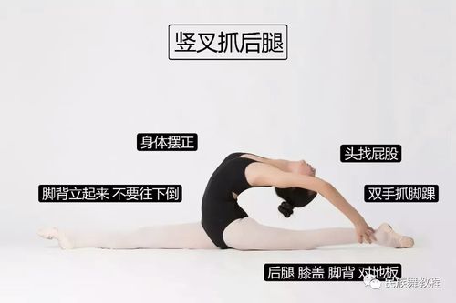 寒假在家练舞蹈基本功的作业已布置,请英才艺术学员查收