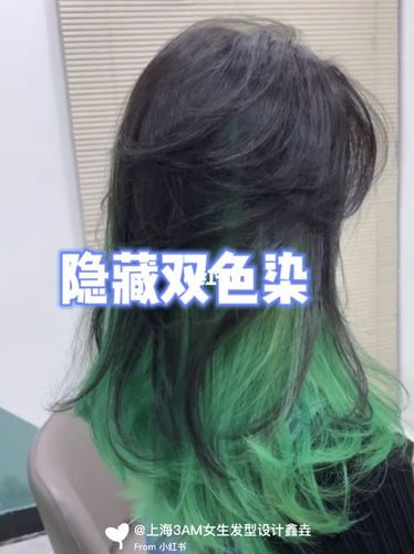 双色染,隐藏染发色,女生心机染,上海染发_烫发_发型_染发_发色_中长发