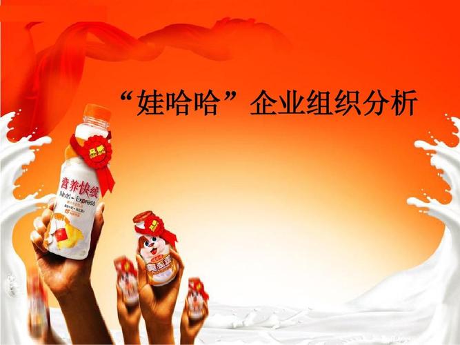 "娃哈哈"企业组织分析