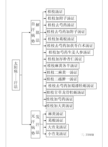 其它 六经辩证一一《伤寒论》 写美篇 一,太阳病证治 "太阳之为病,脉