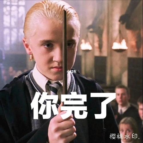 哈利波特表情包1