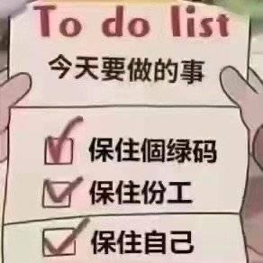 一个广东人的日常 保住绿码保住绿码
