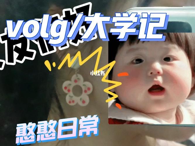 volg/大学记/学习/口语/夕阳/憨憨日常