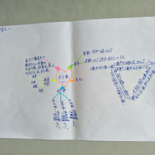 孩子们用思维导图整理的百分数.