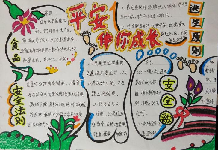 创建平安校园 普及安全知识——楚寨小学安全手抄报评比