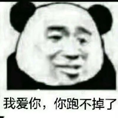 表情包 你的小可爱突然出现