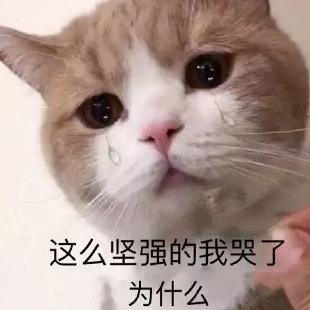这么坚强的我哭了为什么