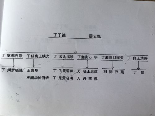 丁氏家谱