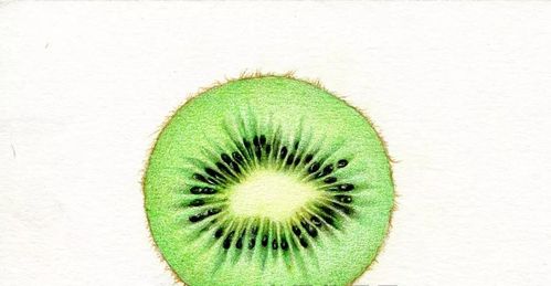 彩铅画一步一步教水果|彩铅画水果简单步骤图(附彩铅全套视频教程)