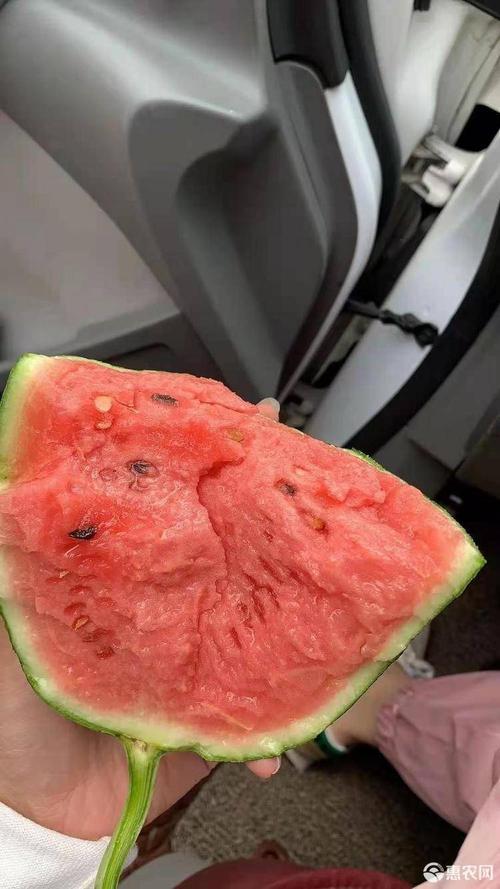 全美2k西瓜 固堤2k西瓜,羊角蜜甜瓜