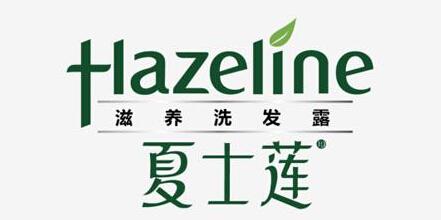 夏士莲洗发水标志logo设计品牌设计vi策划