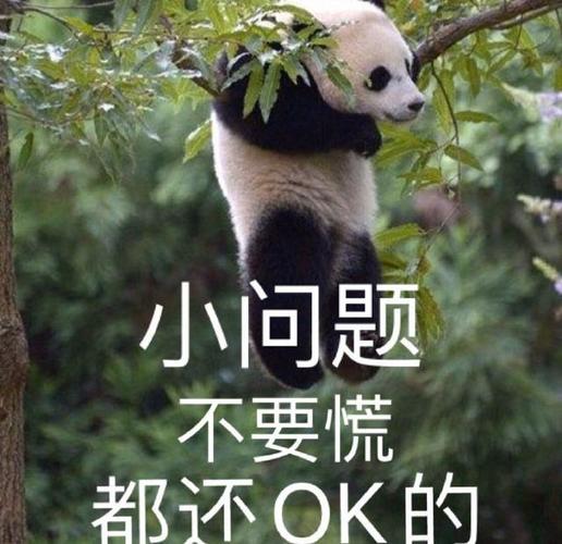 最新搞笑表情包图片:小问题,不要慌,要开心