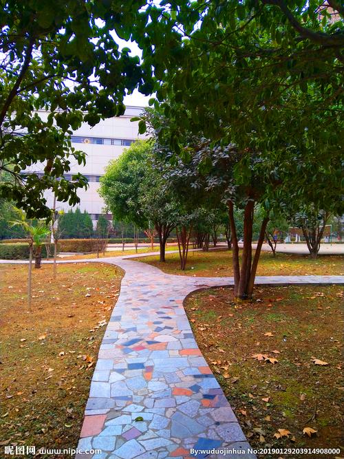 美丽的校园风景图片