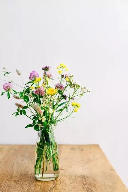 32条插花知识点大集合插花小白变大神