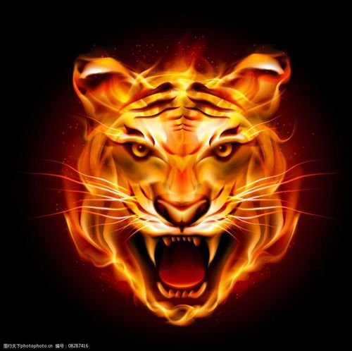 关键词:凶猛火焰虎头 凶猛老虎 火焰虎头 创意烈火 高清火焰 视觉火焰
