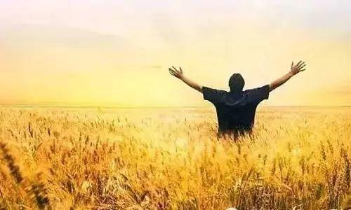 再苦也要承担再累也得自己扛必读