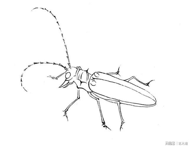 天牛工笔设色技法分享