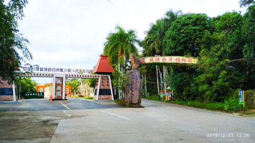 海南自由行(九):万宁市兴隆镇位于北纬18.