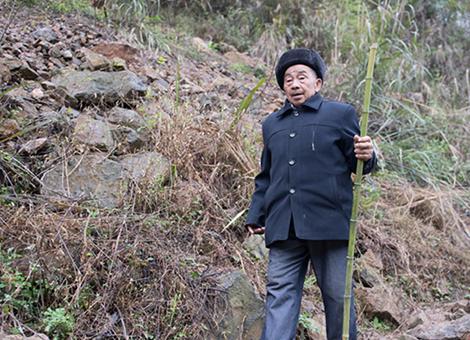 先进典型黄大发_新闻频道_中国青年网