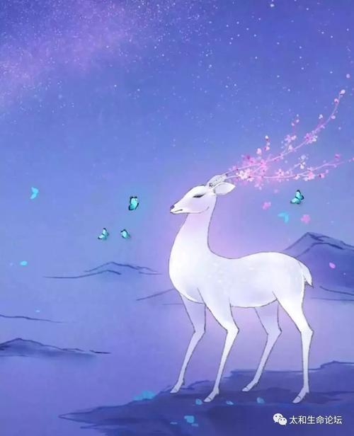 一鹿有你为爱接力