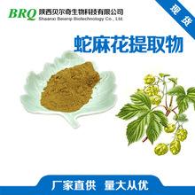 啤酒花蛇麻草