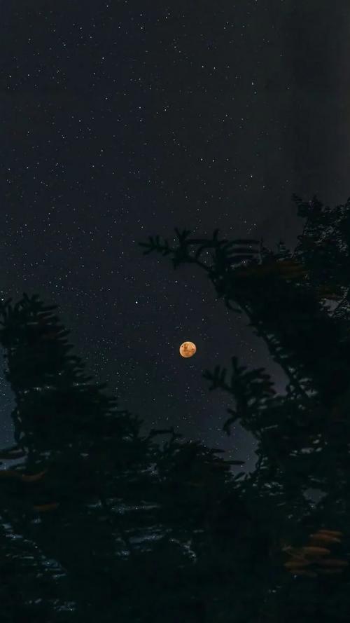 720_1280 竖版 竖屏