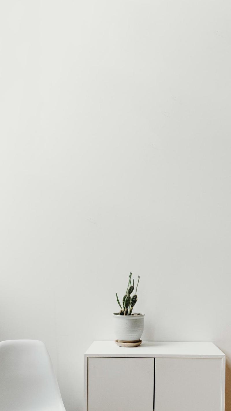 清新简约静物手机壁纸,风格,唯美,创意,清新,静物,家居,手机壁纸,1080