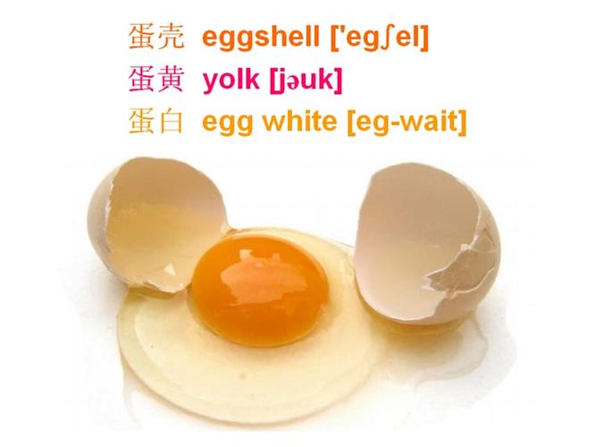 与蛋有关的一切英语词汇图文并茂ppt