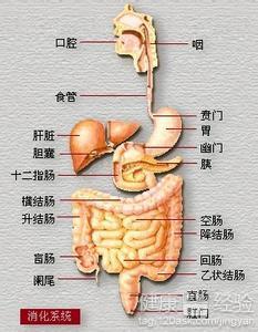 对于上消化道出血,饮食上要吃些温的,半流质饮食,以及多吃些维生素