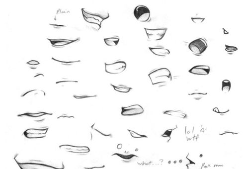 动漫绘画学习:动漫/漫画人物五官(嘴巴/鼻子/耳朵)画法集