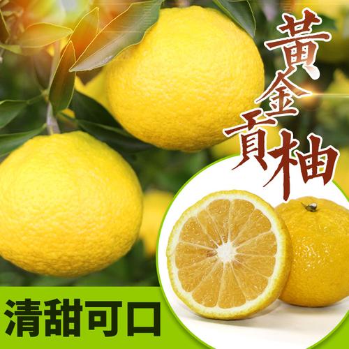 黄金贡柚10斤包邮洪江黔阳湖南新鲜水果春香怀化农家特产丑八怪