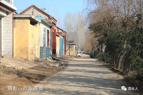 走进泗水大厂村:拍到了这样的情景._泗张镇