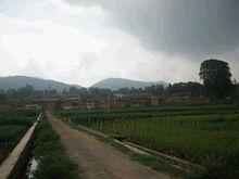 南冲村(云南昆明市宜良县北古城镇下辖村)