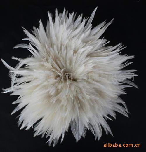 供应工艺羽毛/羽毛/羽毛工艺品