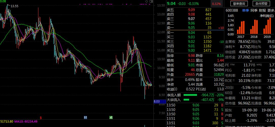 龙净环保 和中国软件两只股票的鲜明对比
