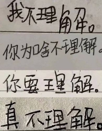 uus 谁有那个小学生字体的"我不理解."表情包