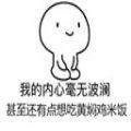 我的内心毫无波澜表情包