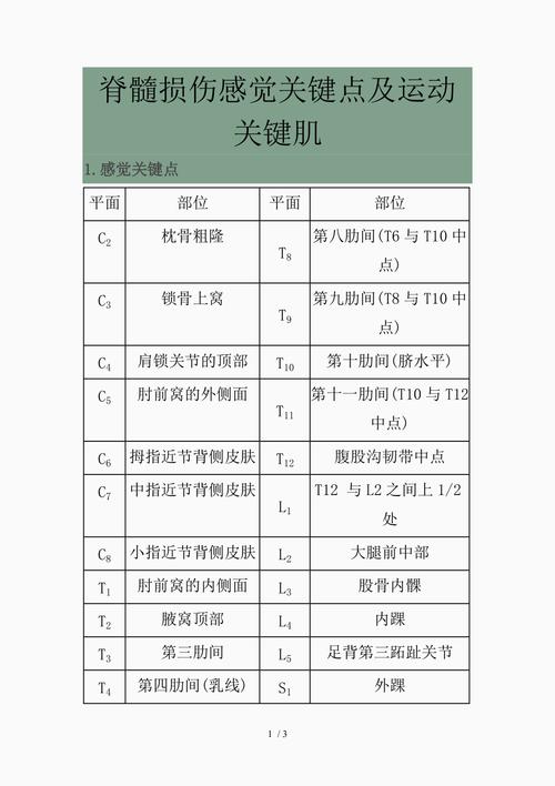 最新脊髓损伤感觉关键点及运动关键肌精品课件