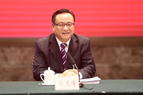 市委副书记,市长孙述涛