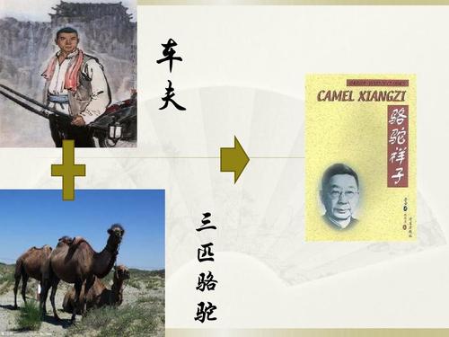 《骆驼祥子》内容介绍,小说内部问题研究及老舍"京派"