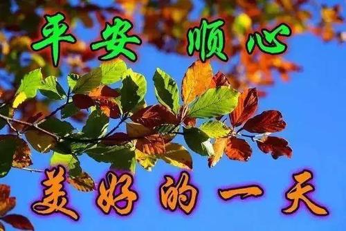 朋友,默默为你祝福,愿你一切皆好,愿我们的友谊地久天长,早安
