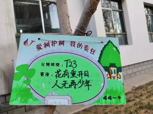 爱树护绿,守护梦想 | 峰峰一中开展校园植树节活动