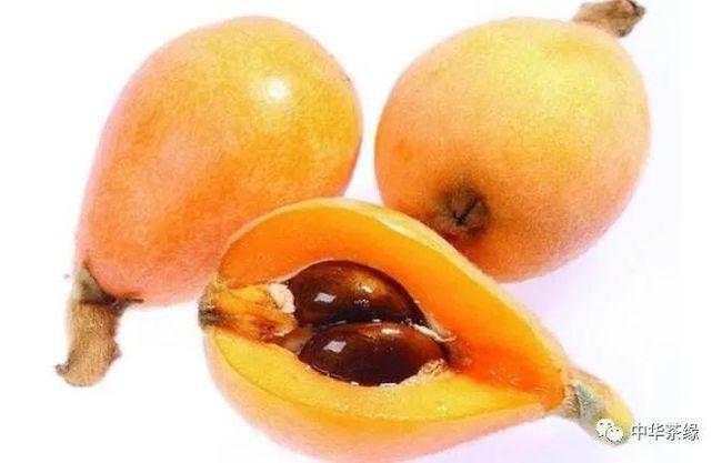 枇杷果的功效与作用及禁忌